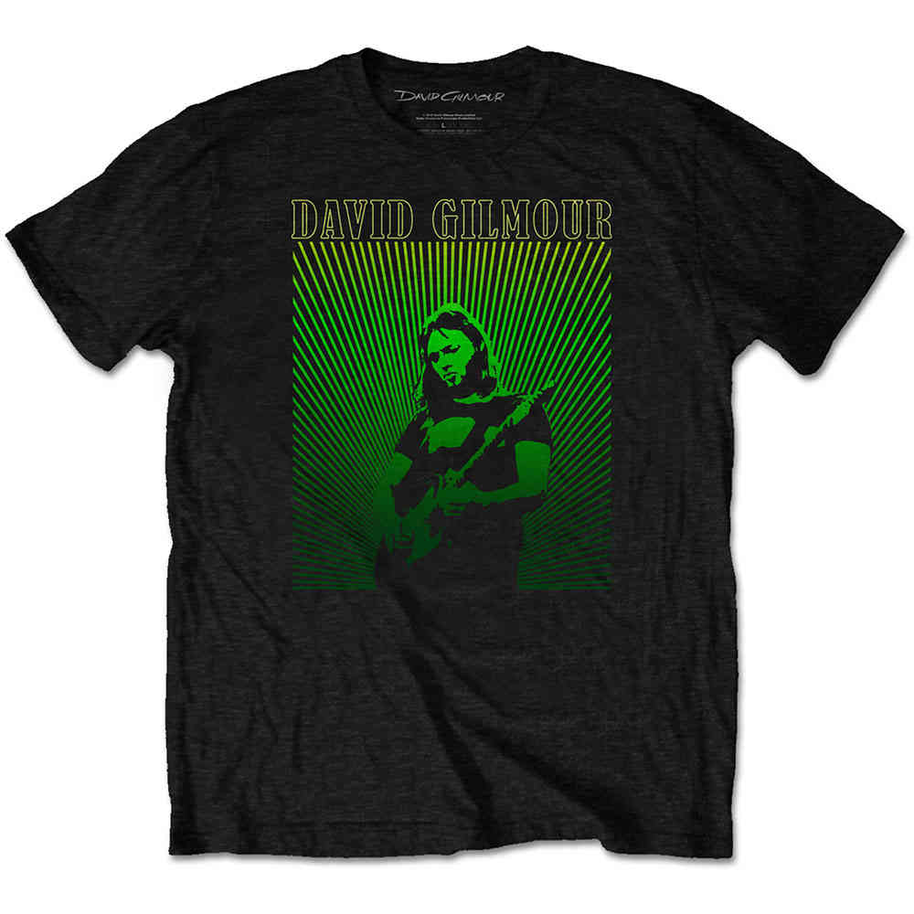 David Gilmour - Rays Gradient Heren Tshirt - Zwart